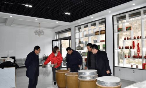 文縣電商中心負責人深入橋頭、天池兩鎮調研，共探電子商務發展新路徑